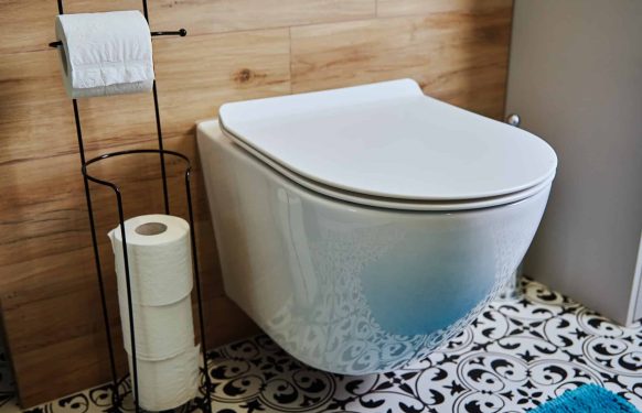 Ceramic toilet bowl and toilet paper in bathroom interior